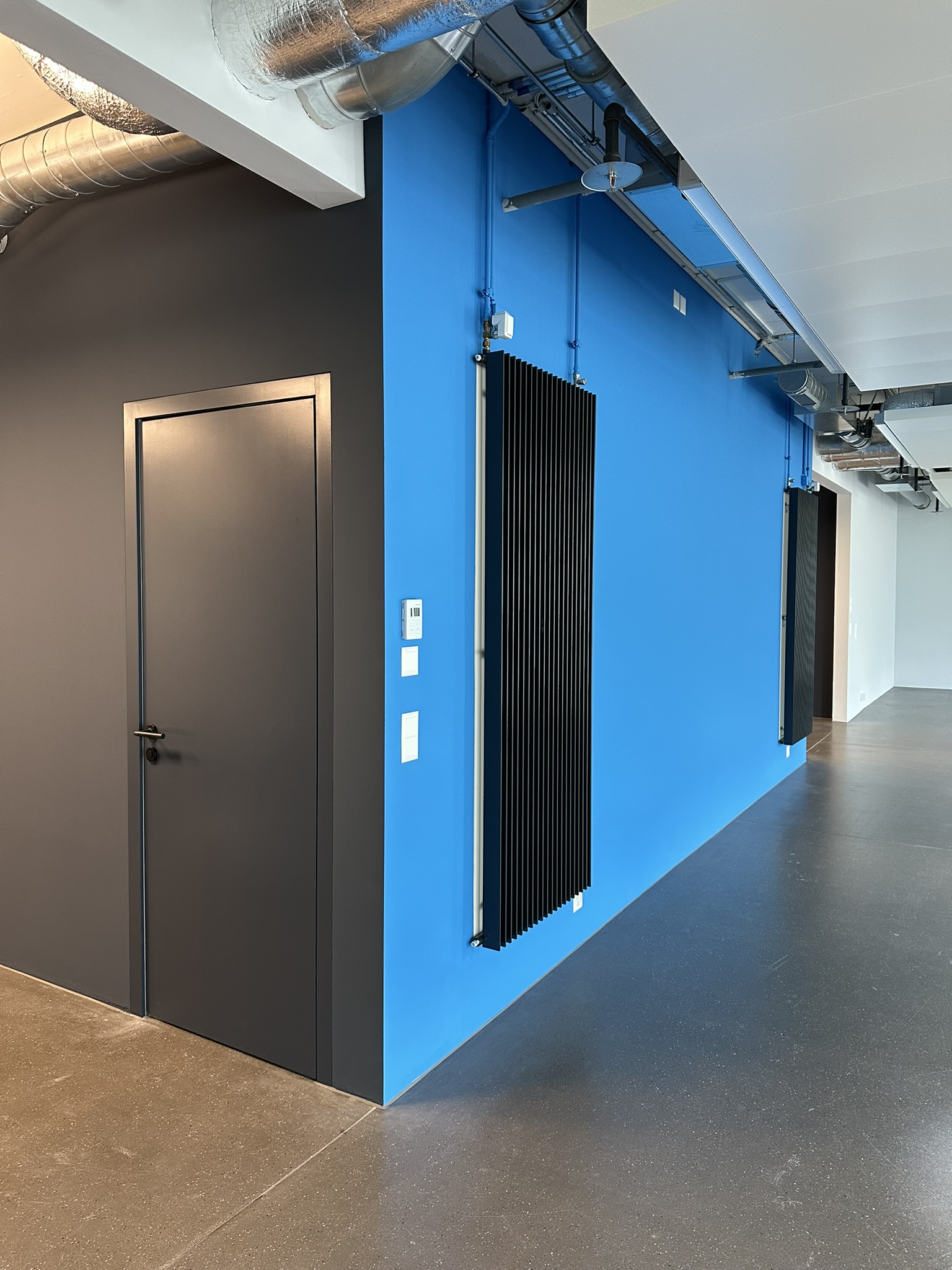 Blaue und dunkle Akzentwände im Innenraum